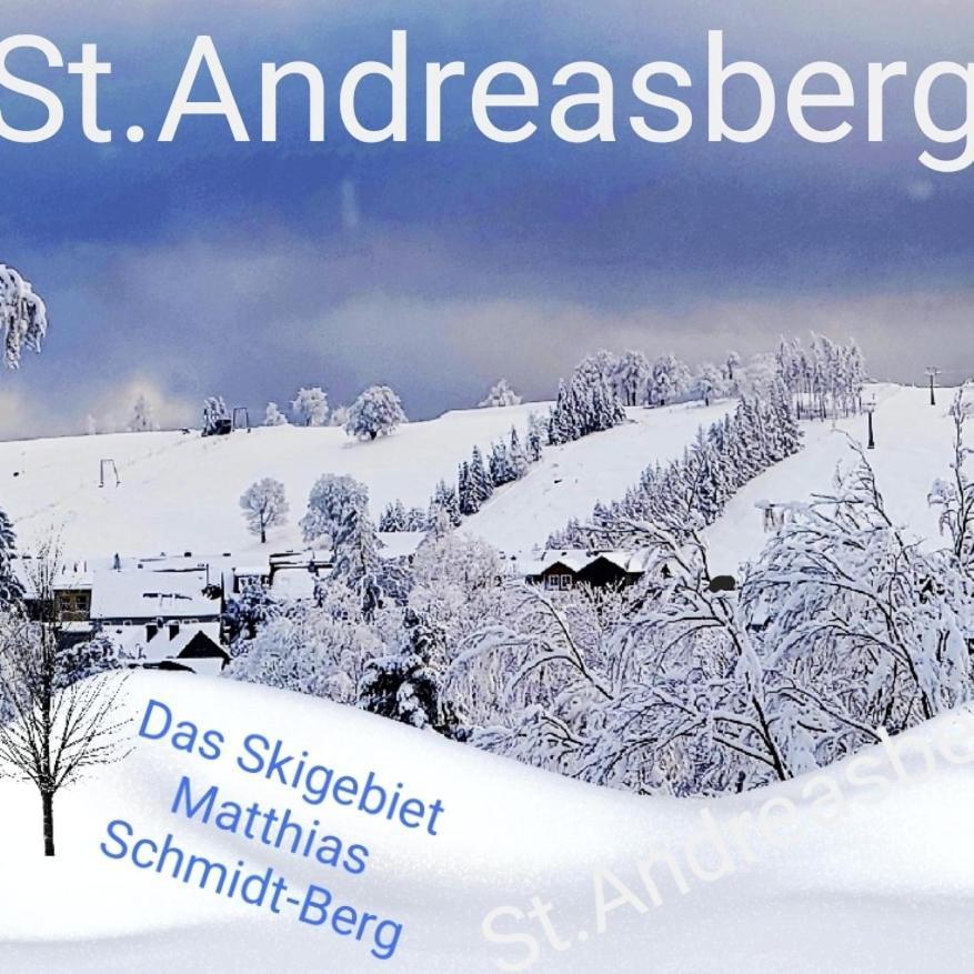 4 Sterne Ferienwohnung 140 Qm Im Haus Tina Sankt Andreasberg Zewnętrze zdjęcie